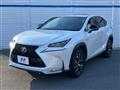 2014 Lexus NX