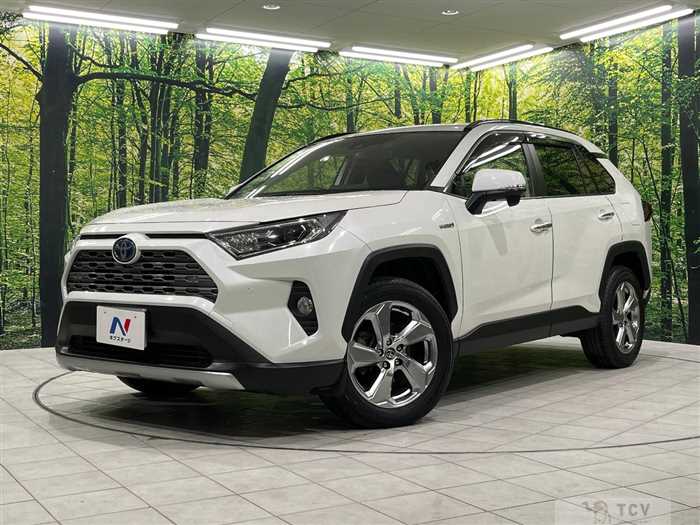 2019 Toyota RAV4