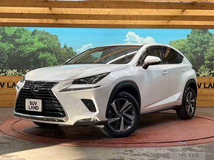 2019 Lexus NX