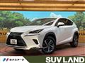 2019 Lexus NX