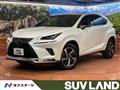 2020 Lexus NX