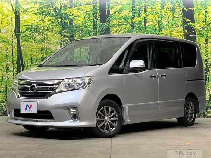 2010 Nissan Serena