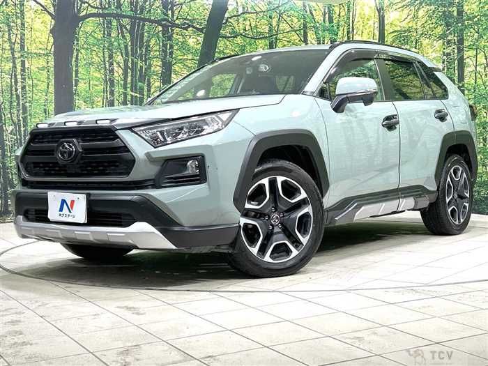 2019 Toyota RAV4