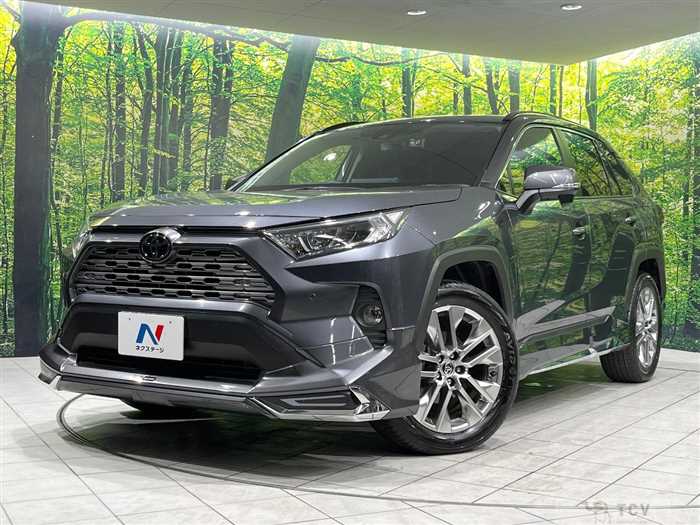2019 Toyota RAV4