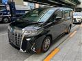2019 Toyota Alphard G