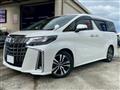 2019 Toyota Alphard G