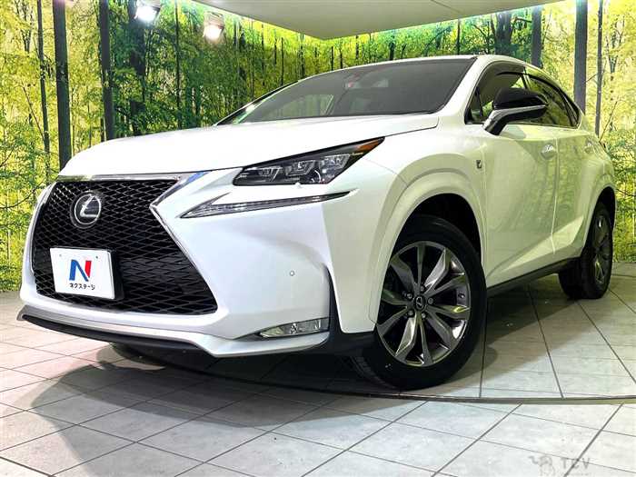 2014 Lexus NX