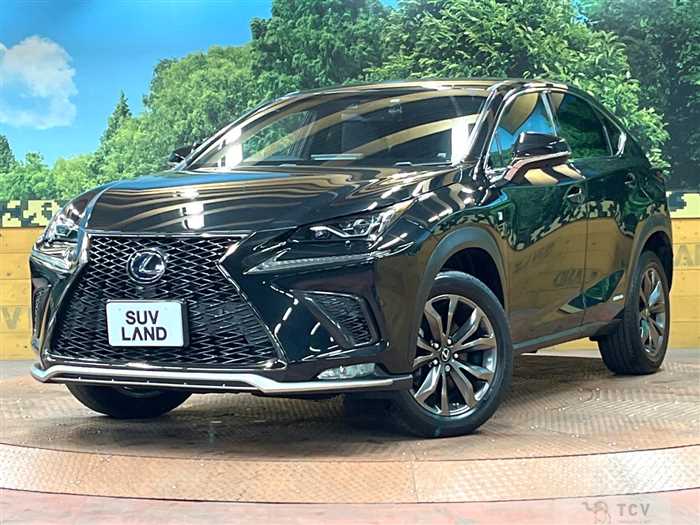 2017 Lexus NX