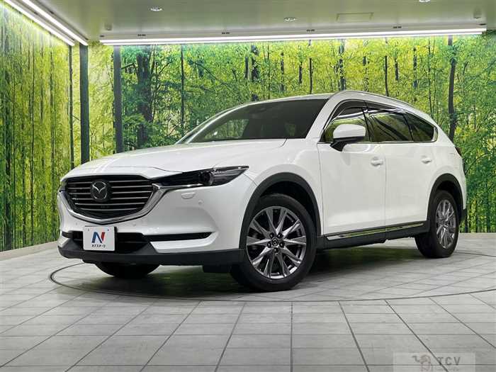 2018 Mazda CX-8
