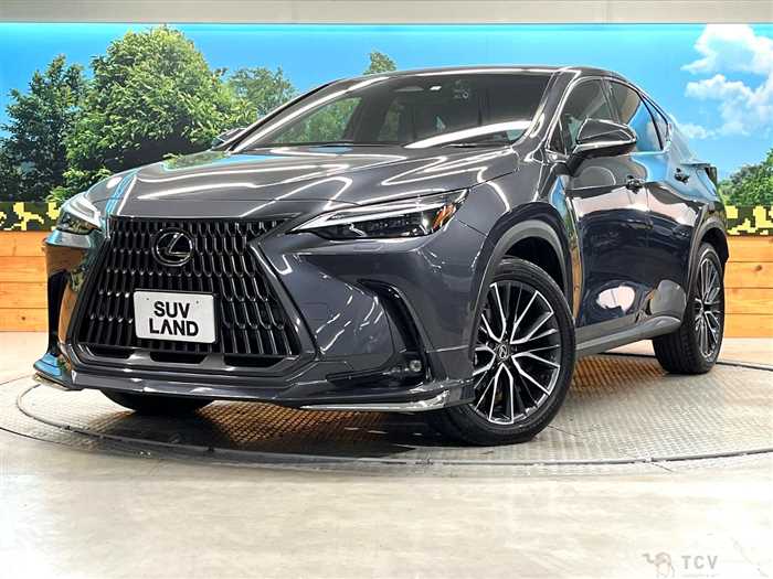 2023 Lexus NX