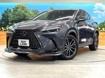 2023 Lexus NX