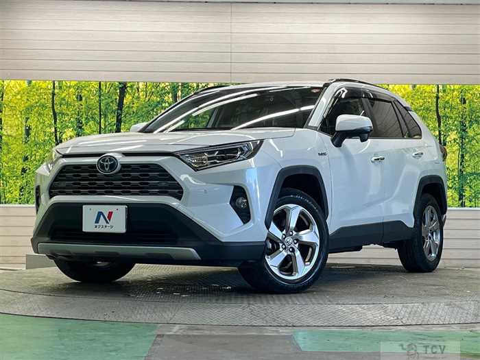 2020 Toyota RAV4
