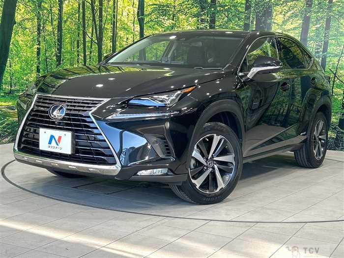 2018 Lexus NX