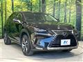 2018 Lexus NX