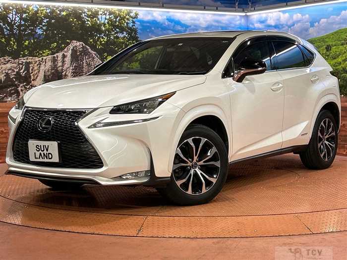 2015 Lexus NX