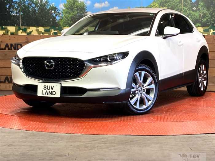 2023 Mazda Mazda Others