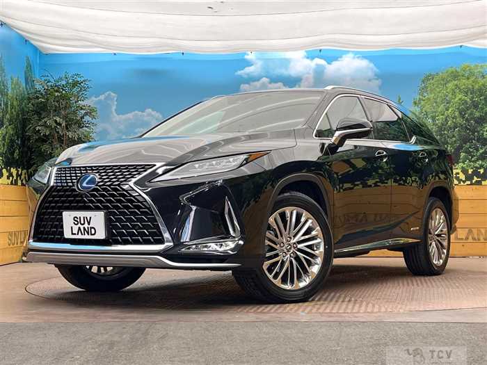 2019 Lexus RX