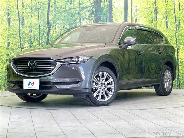2019 Mazda CX-8