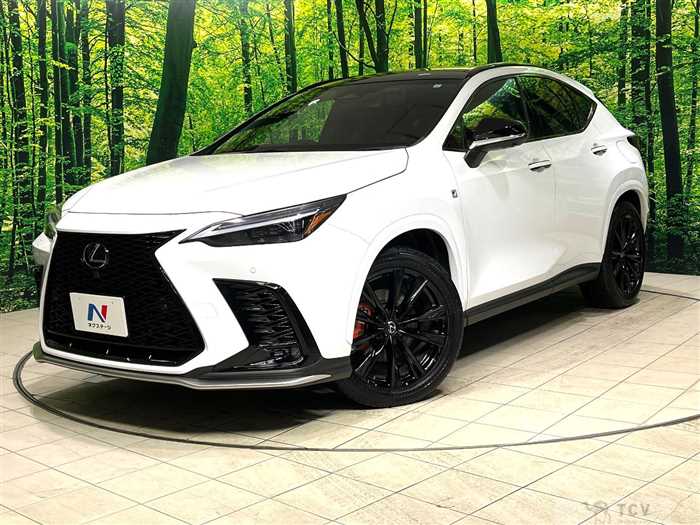 2023 Lexus NX