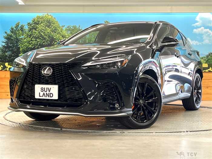 2023 Lexus NX