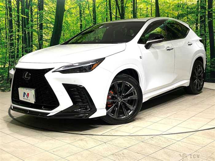 2023 Lexus NX