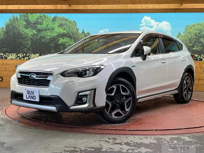 2019 Subaru Subaru Others
