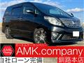 2011 Toyota Alphard G