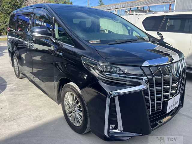 2018 Toyota Alphard G