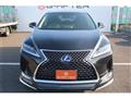2019 Lexus RX