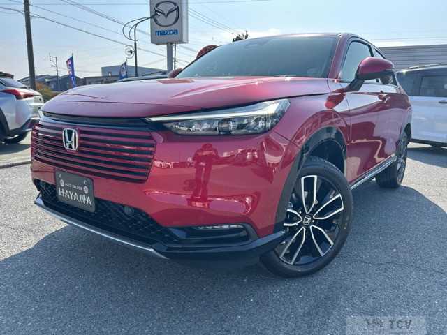 2025 Other All Other All