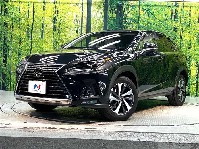 2018 Lexus NX