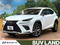 2019 Lexus NX