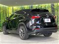 2015 Lexus NX