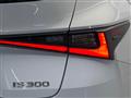 2022 Lexus IS
