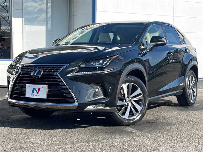 2017 Lexus NX