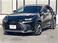 2018 Lexus NX