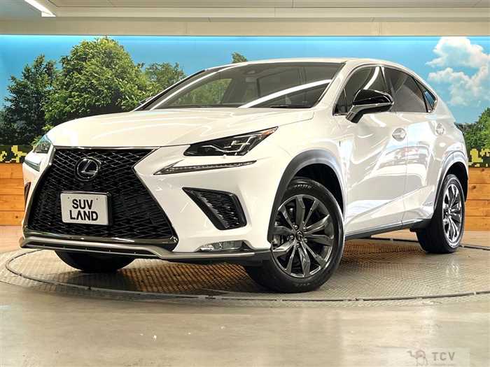 2018 Lexus NX