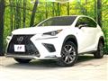2019 Lexus NX