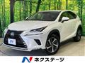2020 Lexus NX