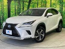 2020 Lexus NX