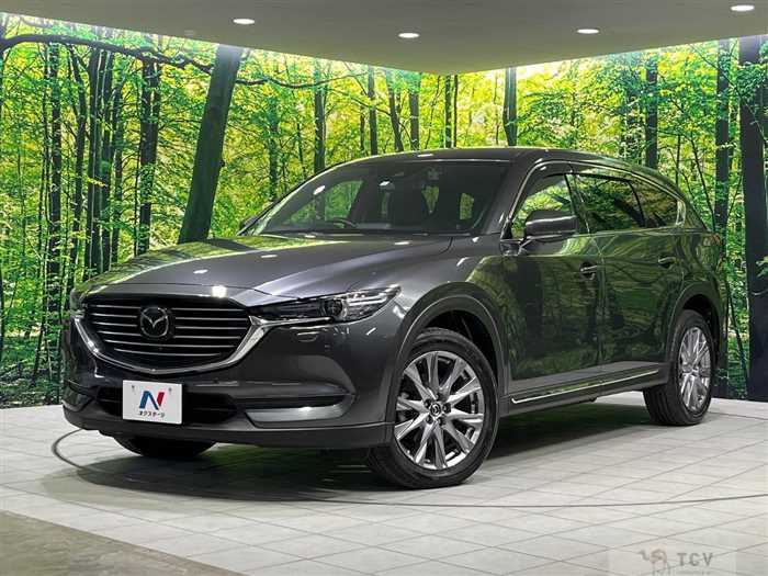 2019 Mazda CX-8