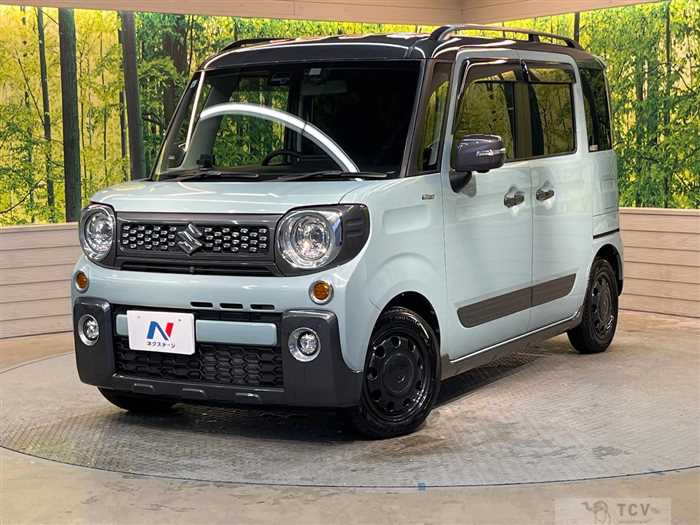 2019 Suzuki Suzuki Others