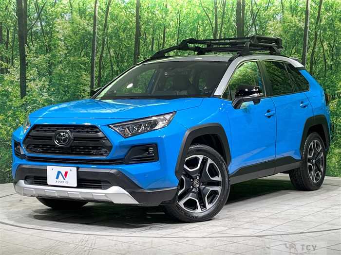 2019 Toyota RAV4