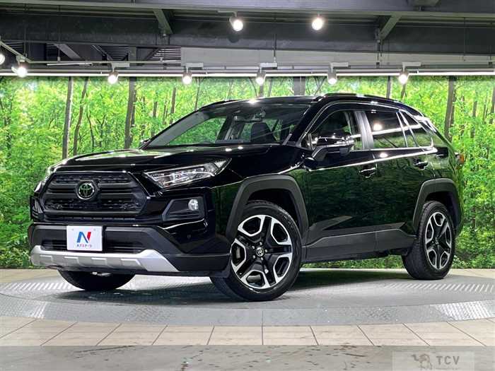 2019 Toyota RAV4