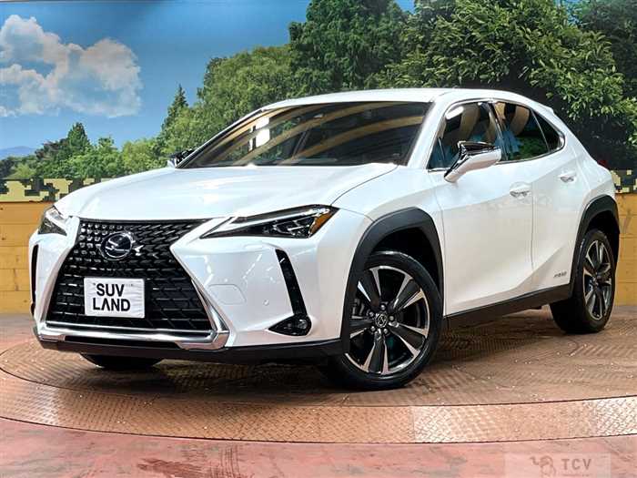 2019 Lexus Other