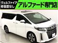 2019 Toyota Alphard G