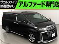 2019 Toyota Alphard G