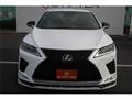 2019 Lexus RX