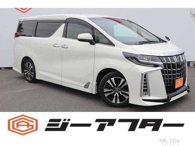 2019 Toyota Alphard G
