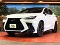 2021 Lexus NX